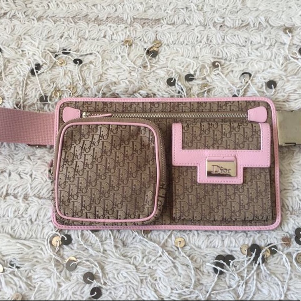 Dior trotter belt bag